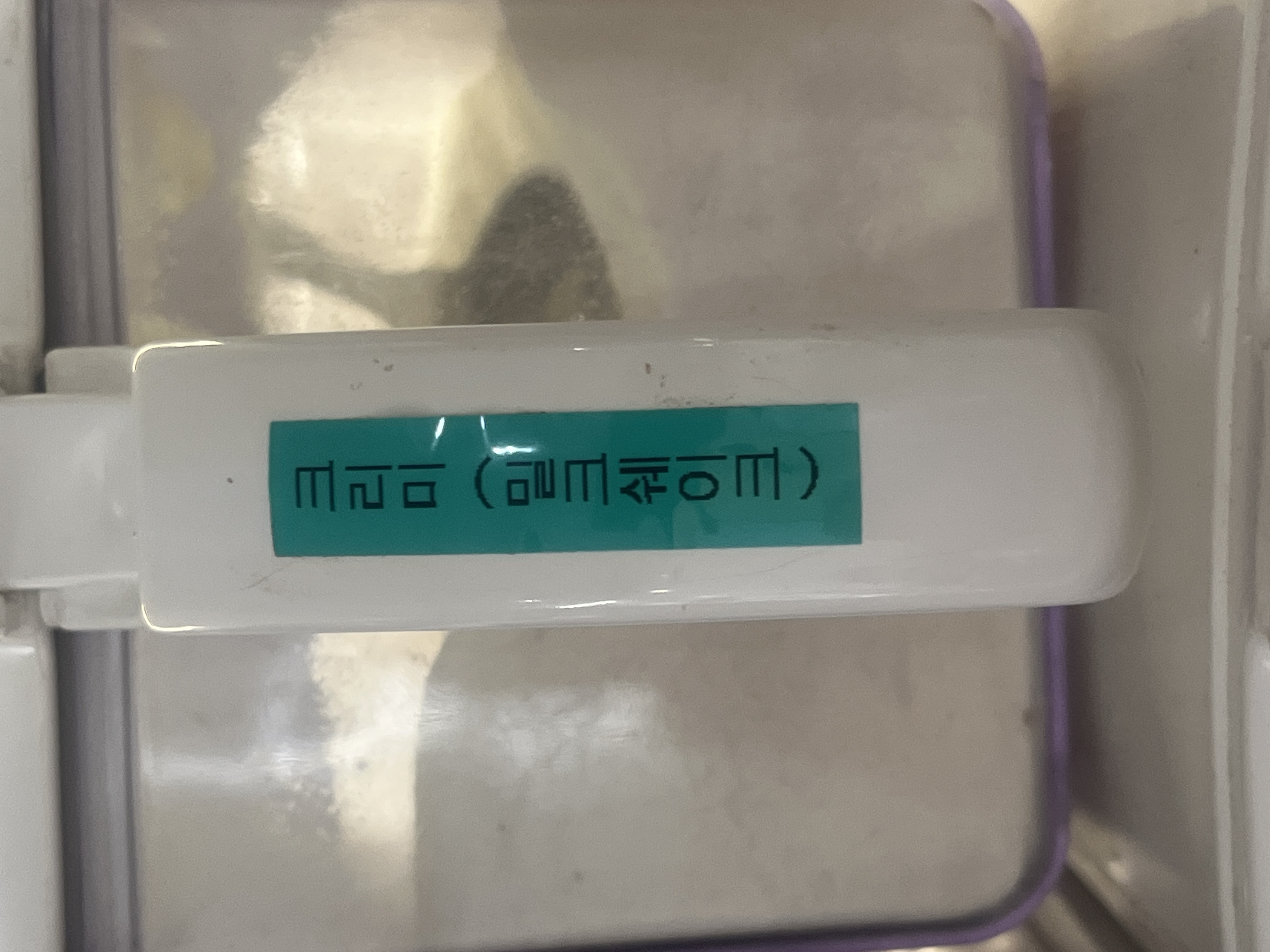 fileName